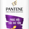 DG Pantene phục hồi hư tổn 900ml