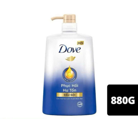 DG Dove phục hồi hư tổn 880g