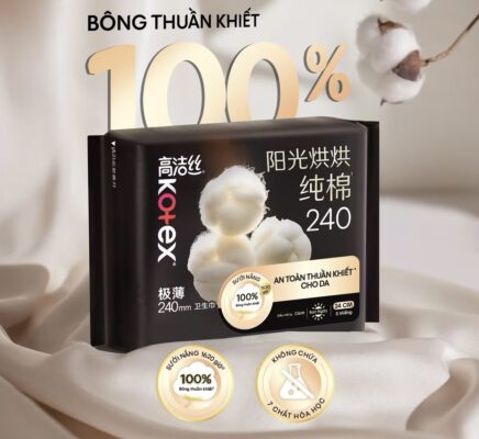BVS hàng ngày cánh 190mm ( cặp)